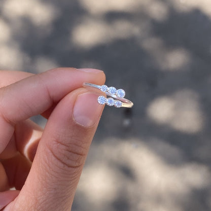 Anillo Punta Choros