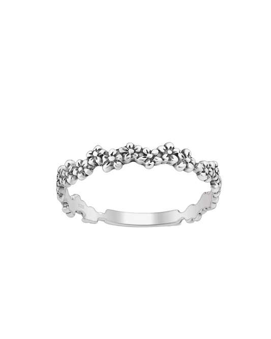 Anillo Maihue 2.0
