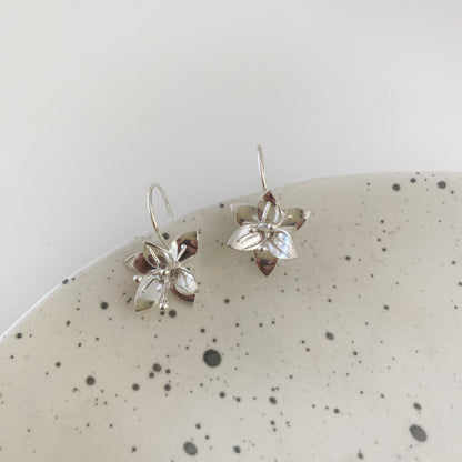 Aros Orquídea