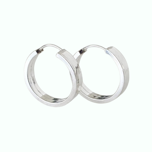 Argollas Noe