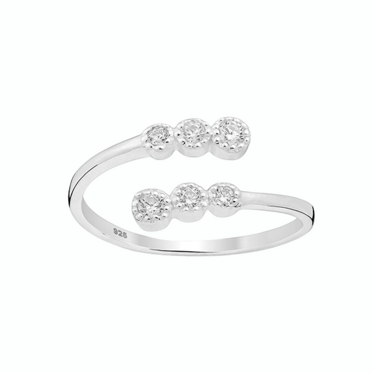 Anillo Punta Choros